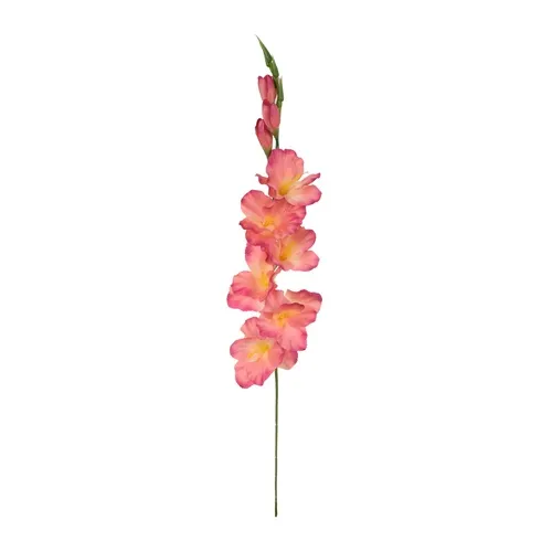 Gladiolus – vetvička 77 cm pink/yellow K321